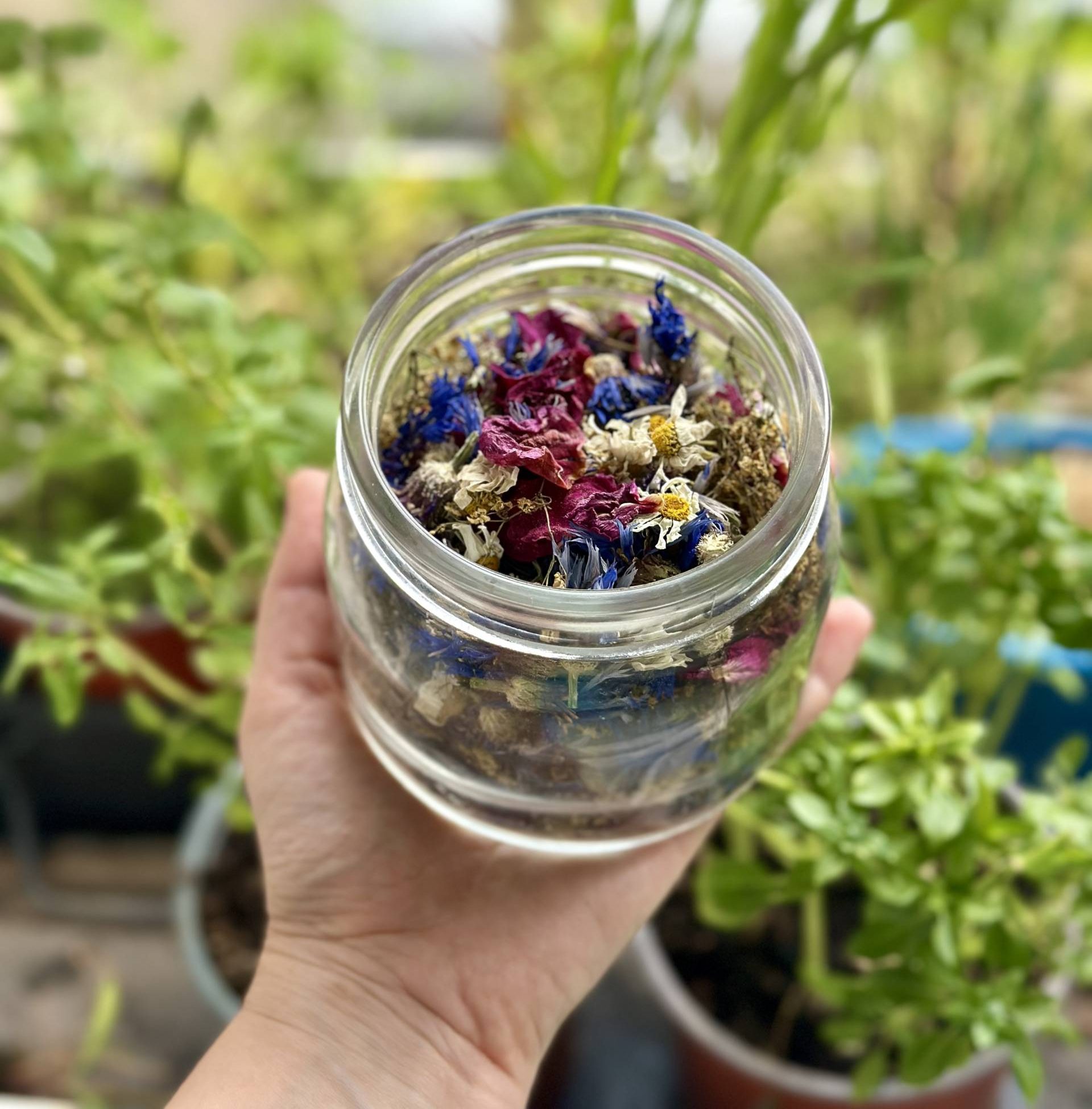 Herbs and garden